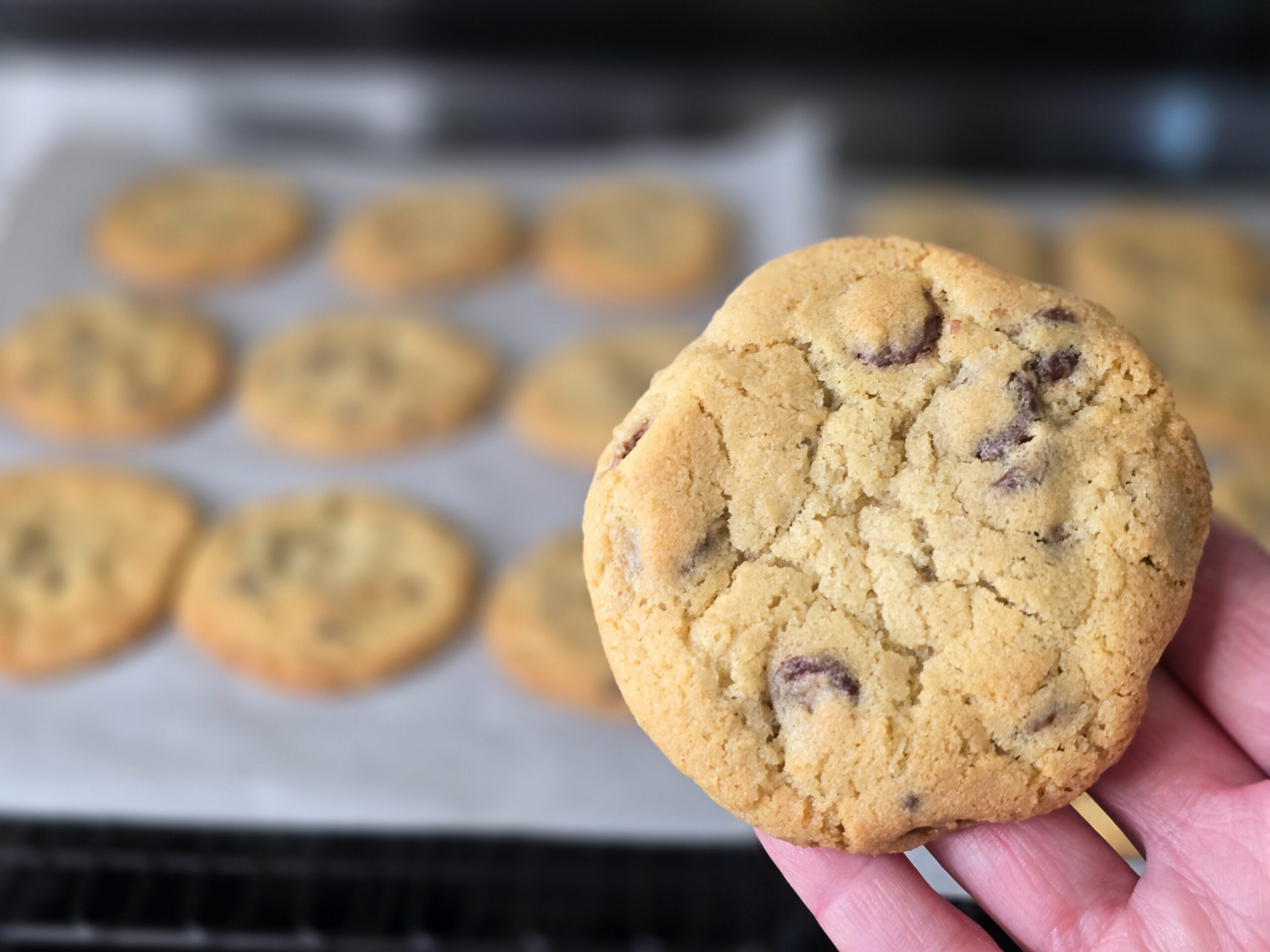 The Best Soft and Chewy Chocolate Chip Cookies